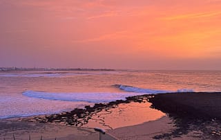 183e44fc-1bc9-4d17-a716-fdeca5e7accd-2