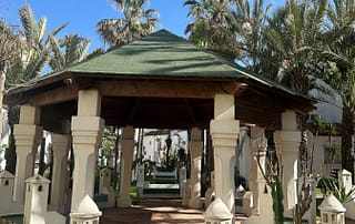 IMG_4861