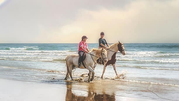 Beach-Horseback-riding